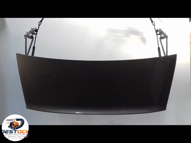 Coffre arrière Peugeot 407 (6D_) 2.0 hdi 135 (6drhrh, 6drhre, 6drhrg, 6drhrj) (2004-2010) 4 portes occasion